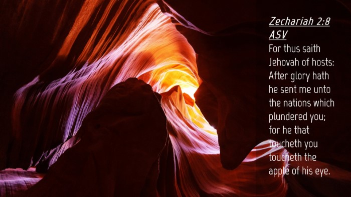 Picture 04 - Zechariah 2:8 ASV Desktop Wallpaper - For thus saith Jehovah of hosts: After glory hath - Desktop Bible Verse Wallpaper