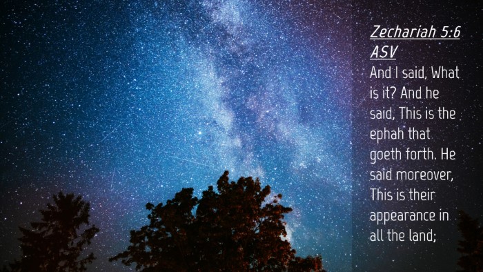 Picture 04 - Zechariah 5:6 ASV Desktop Wallpaper - And I said, What is it? And he said, This is the - Desktop Bible Verse Wallpaper