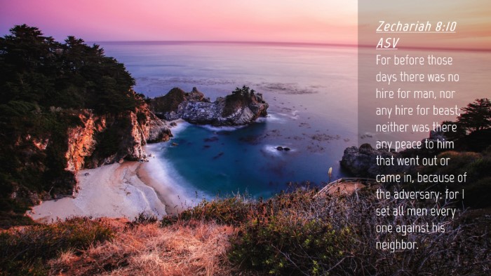 Picture 04 - Zechariah 8:10 ASV Desktop Wallpaper - For before those days there was no hire for man, - Desktop Bible Verse Wallpaper