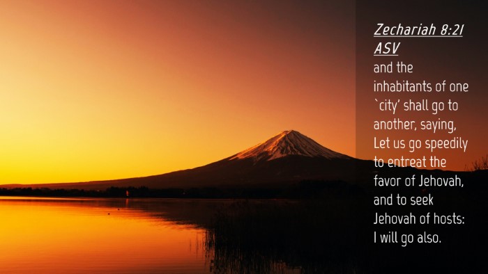Picture 04 - Zechariah 8:21 ASV Desktop Wallpaper - and the inhabitants of one `city' shall go to - Desktop Bible Verse Wallpaper