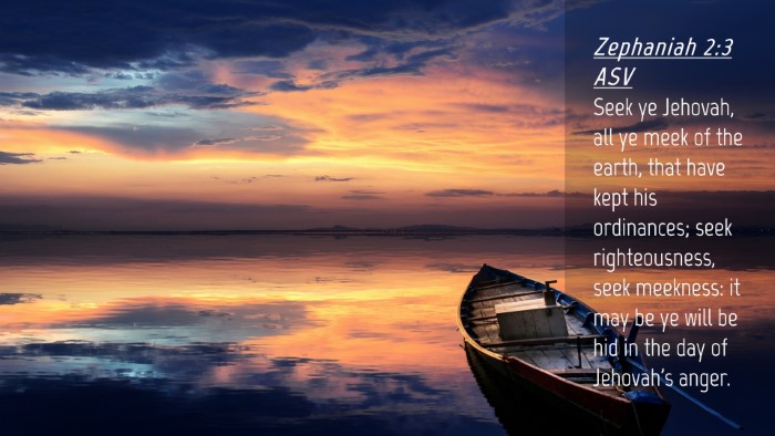 Picture 04 - Zephaniah 2:3 ASV Desktop Wallpaper - Seek ye Jehovah, all ye meek of the earth, that - Desktop Bible Verse Wallpaper