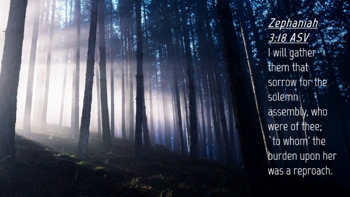 Picture 04 - Zephaniah 3:18 ASV Desktop Wallpaper - I will gather them that sorrow for the solemn - Desktop Bible Verse Wallpaper