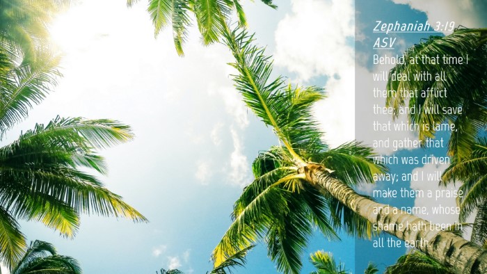 Picture 04 - Zephaniah 3:19 ASV Desktop Wallpaper - Behold, at that time I will deal with all them - Desktop Bible Verse Wallpaper