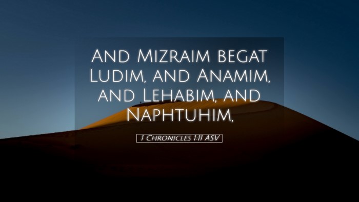 Picture 05 - 1 Chronicles 1:11 ASV Desktop Wallpaper - And Mizraim begat Ludim, and Anamim, and Lehabim, - Desktop Bible Verse Wallpaper