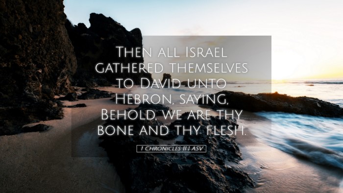 Picture 05 - 1 Chronicles 11:1 ASV Desktop Wallpaper - Then all Israel gathered themselves to David unto - Desktop Bible Verse Wallpaper