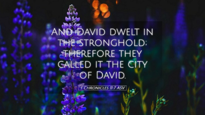 Picture 05 - 1 Chronicles 11:7 ASV Desktop Wallpaper - And David dwelt in the stronghold; therefore they - Desktop Bible Verse Wallpaper