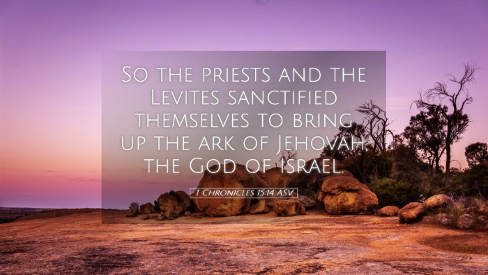 Picture 05 - 1 Chronicles 15:14 ASV Desktop Wallpaper - So the priests and the Levites sanctified - Desktop Bible Verse Wallpaper