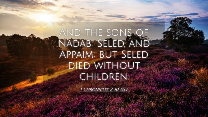 Picture 05 - 1 Chronicles 2:30 ASV Desktop Wallpaper - And the sons of Nadab: Seled, and Appaim; but - Desktop Bible Verse Wallpaper