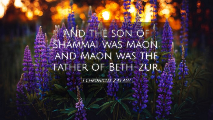Picture 05 - 1 Chronicles 2:45 ASV Desktop Wallpaper - And the son of Shammai was Maon; and Maon was the - Desktop Bible Verse Wallpaper