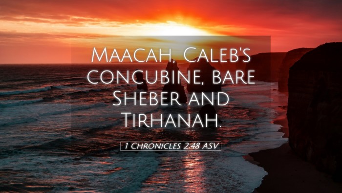 Picture 05 - 1 Chronicles 2:48 ASV Desktop Wallpaper - Maacah, Caleb's concubine, bare Sheber and - Desktop Bible Verse Wallpaper