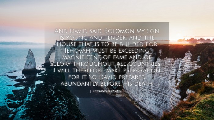 Picture 05 - 1 Chronicles 22:5 ASV Desktop Wallpaper - And David said, Solomon my son is young and - Desktop Bible Verse Wallpaper