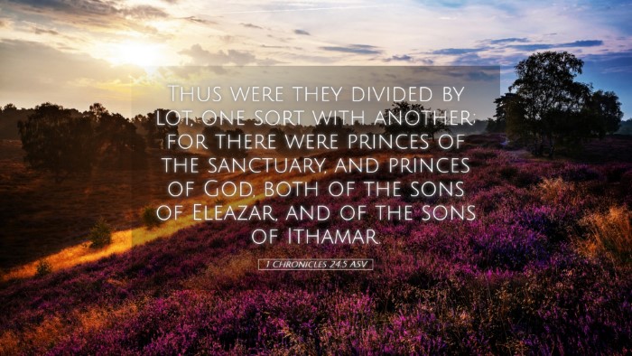 Picture 05 - 1 Chronicles 24:5 ASV Desktop Wallpaper - Thus were they divided by lot, one sort with - Desktop Bible Verse Wallpaper