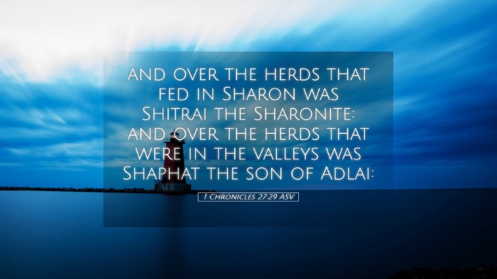Picture 05 - 1 Chronicles 27:29 ASV Desktop Wallpaper - and over the herds that fed in Sharon was Shitrai - Desktop Bible Verse Wallpaper