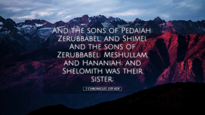 Picture 05 - 1 Chronicles 3:19 ASV Desktop Wallpaper - And the sons of Pedaiah: Zerubbabel, and Shimei. - Desktop Bible Verse Wallpaper