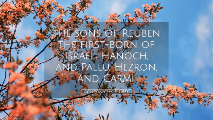 Picture 05 - 1 Chronicles 5:3 ASV Desktop Wallpaper - the sons of Reuben the first-born of Israel: - Desktop Bible Verse Wallpaper