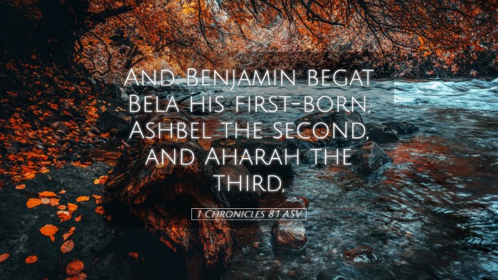 Picture 05 - 1 Chronicles 8:1 ASV Desktop Wallpaper - And Benjamin begat Bela his first-born, Ashbel - Desktop Bible Verse Wallpaper