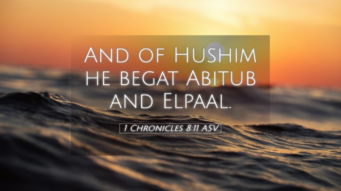 Picture 05 - 1 Chronicles 8:11 ASV Desktop Wallpaper - And of Hushim he begat Abitub and - Desktop Bible Verse Wallpaper