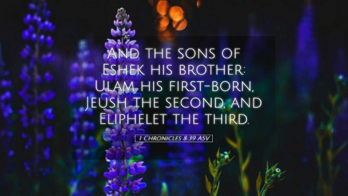 Picture 05 - 1 Chronicles 8:39 ASV Desktop Wallpaper - And the sons of Eshek his brother: Ulam his - Desktop Bible Verse Wallpaper