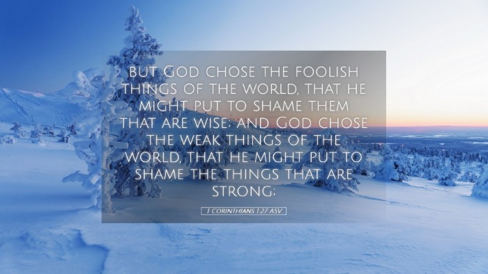 Picture 05 - 1 Corinthians 1:27 ASV Desktop Wallpaper - but God chose the foolish things of the world, - Desktop Bible Verse Wallpaper