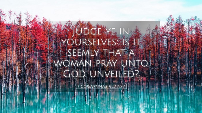 Picture 05 - 1 Corinthians 11:13 ASV Desktop Wallpaper - Judge ye in yourselves: is it seemly that a woman - Desktop Bible Verse Wallpaper
