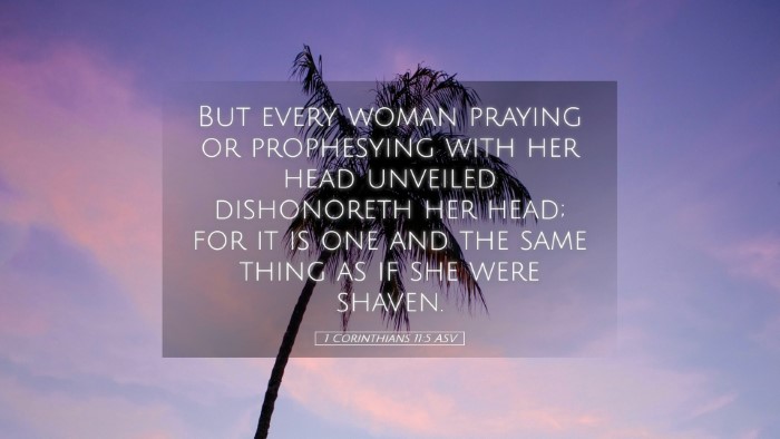 Picture 05 - 1 Corinthians 11:5 ASV Desktop Wallpaper - But every woman praying or prophesying with her - Desktop Bible Verse Wallpaper