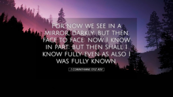 Picture 05 - 1 Corinthians 13:12 ASV Desktop Wallpaper - For now we see in a mirror, darkly; but then face - Desktop Bible Verse Wallpaper