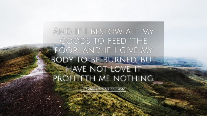 Picture 05 - 1 Corinthians 13:3 ASV Desktop Wallpaper - And if I bestow all my goods to feed `the poor', - Desktop Bible Verse Wallpaper