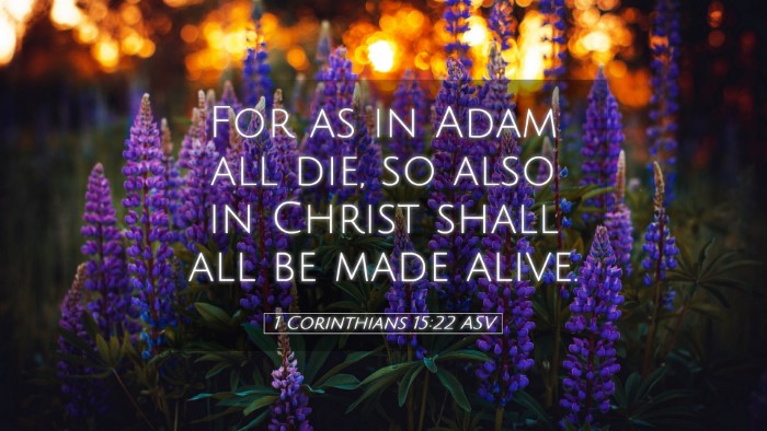 Picture 05 - 1 Corinthians 15:22 ASV Desktop Wallpaper - For as in Adam all die, so also in Christ shall - Desktop Bible Verse Wallpaper