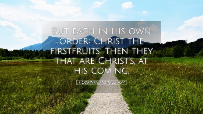 Picture 05 - 1 Corinthians 15:23 ASV Desktop Wallpaper - But each in his own order: Christ the - Desktop Bible Verse Wallpaper