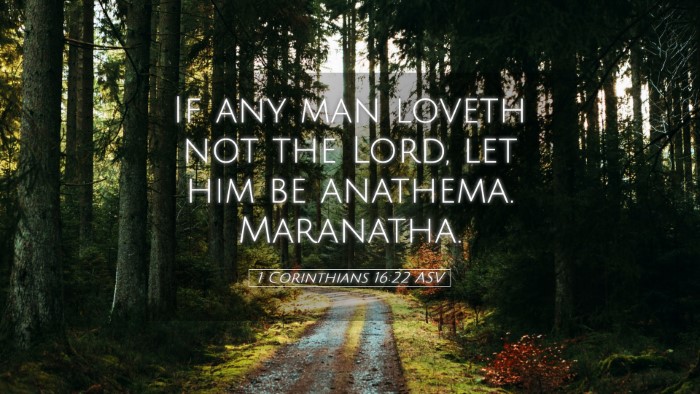 Picture 05 - 1 Corinthians 16:22 ASV Desktop Wallpaper - If any man loveth not the Lord, let him be - Desktop Bible Verse Wallpaper