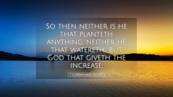 Picture 05 - 1 Corinthians 3:7 ASV Desktop Wallpaper - So then neither is he that planteth anything, - Desktop Bible Verse Wallpaper