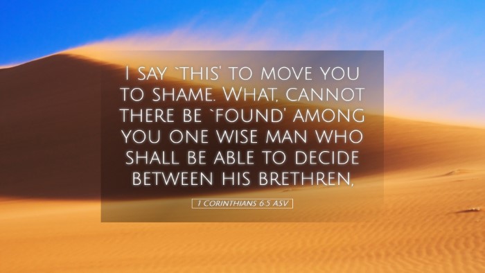 Picture 05 - 1 Corinthians 6:5 ASV Desktop Wallpaper - I say `this' to move you to shame. What, cannot - Desktop Bible Verse Wallpaper