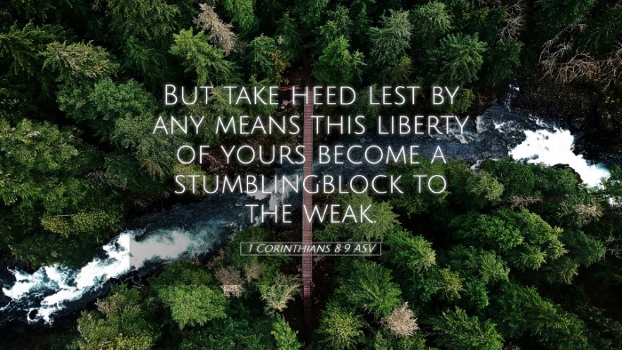 Picture 05 - 1 Corinthians 8:9 ASV Desktop Wallpaper - But take heed lest by any means this liberty of - Desktop Bible Verse Wallpaper