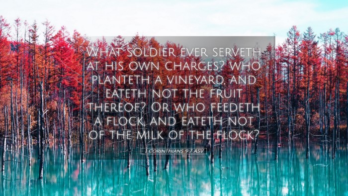 Picture 05 - 1 Corinthians 9:7 ASV Desktop Wallpaper - What soldier ever serveth at his own charges? who - Desktop Bible Verse Wallpaper