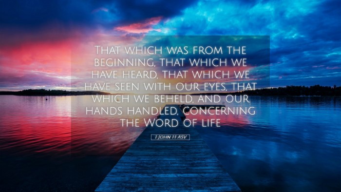 Picture 05 - 1 John 1:1 ASV Desktop Wallpaper - That which was from the beginning, that which we - Desktop Bible Verse Wallpaper