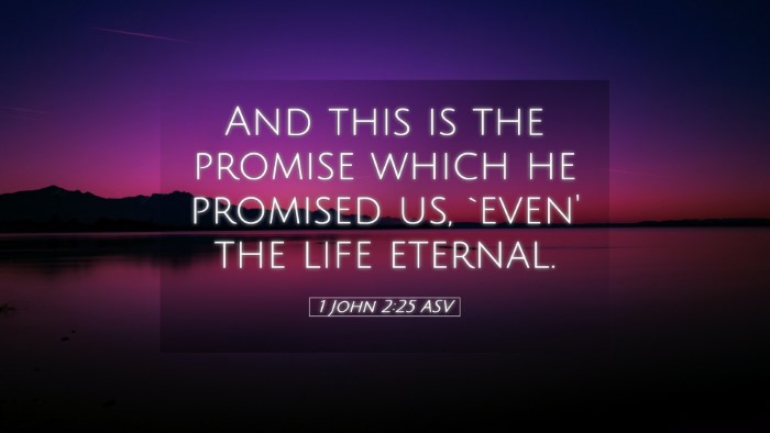 Picture 05 - 1 John 2:25 ASV Desktop Wallpaper - And this is the promise which he promised us, - Desktop Bible Verse Wallpaper