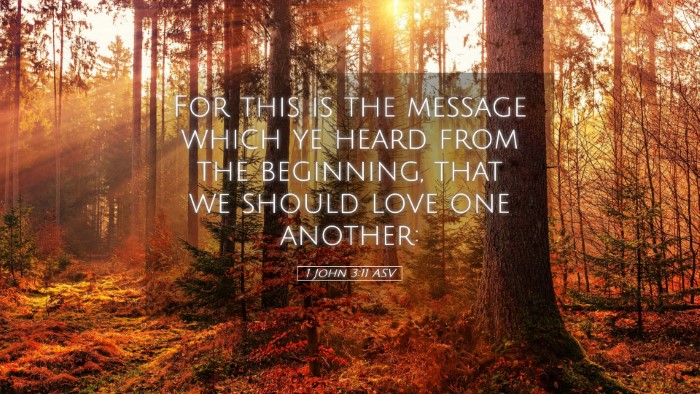 Picture 05 - 1 John 3:11 ASV Desktop Wallpaper - For this is the message which ye heard from the - Desktop Bible Verse Wallpaper