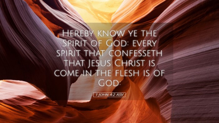 Picture 05 - 1 John 4:2 ASV Desktop Wallpaper - Hereby know ye the Spirit of God: every spirit - Desktop Bible Verse Wallpaper