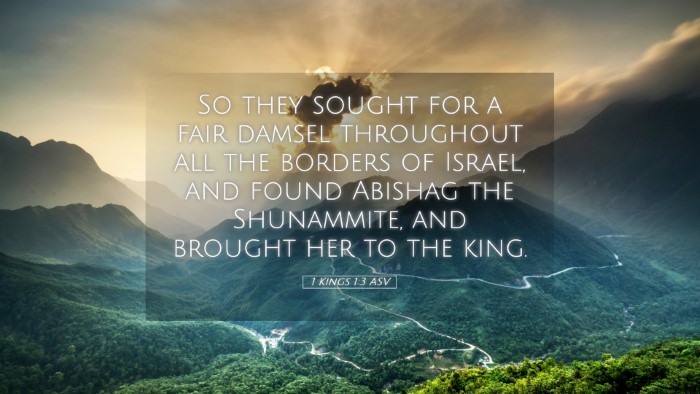 Picture 05 - 1 Kings 1:3 ASV Desktop Wallpaper - So they sought for a fair damsel throughout all - Desktop Bible Verse Wallpaper