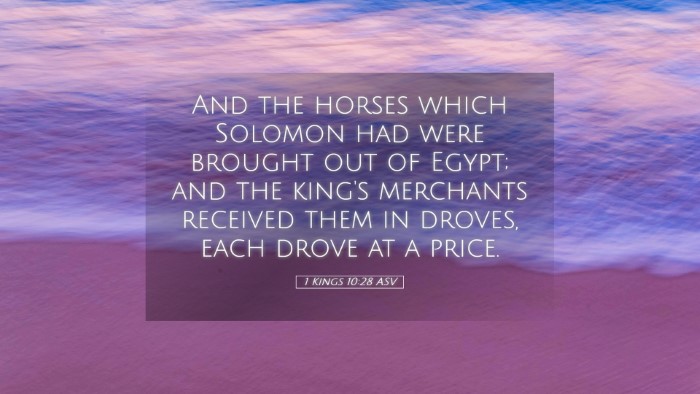 Picture 05 - 1 Kings 10:28 ASV Desktop Wallpaper - And the horses which Solomon had were brought out - Desktop Bible Verse Wallpaper