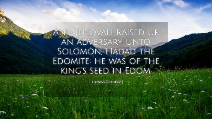 Picture 05 - 1 Kings 11:14 ASV Desktop Wallpaper - And Jehovah raised up an adversary unto Solomon, - Desktop Bible Verse Wallpaper