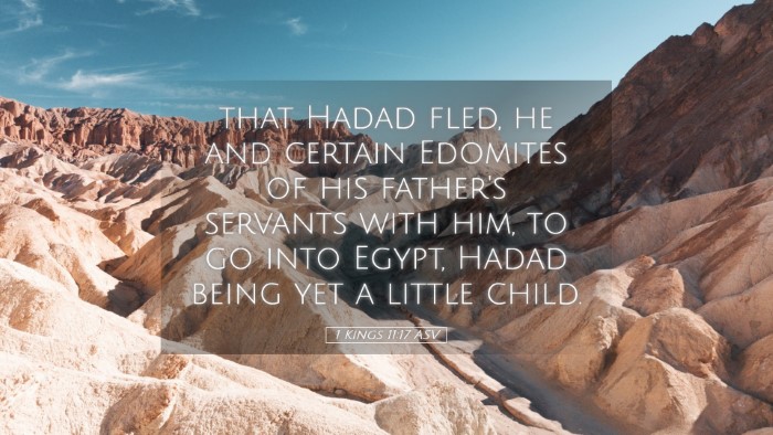 Picture 05 - 1 Kings 11:17 ASV Desktop Wallpaper - that Hadad fled, he and certain Edomites of his - Desktop Bible Verse Wallpaper