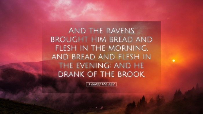 Picture 05 - 1 Kings 17:6 ASV Desktop Wallpaper - And the ravens brought him bread and flesh in the - Desktop Bible Verse Wallpaper