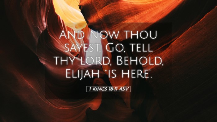 Picture 05 - 1 Kings 18:11 ASV Desktop Wallpaper - And now thou sayest, Go, tell thy lord, Behold, - Desktop Bible Verse Wallpaper