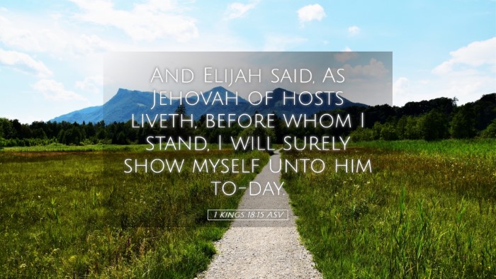 Picture 05 - 1 Kings 18:15 ASV Desktop Wallpaper - And Elijah said, As Jehovah of hosts liveth, - Desktop Bible Verse Wallpaper