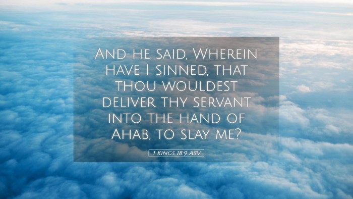 Picture 05 - 1 Kings 18:9 ASV Desktop Wallpaper - And he said, Wherein have I sinned, that thou - Desktop Bible Verse Wallpaper