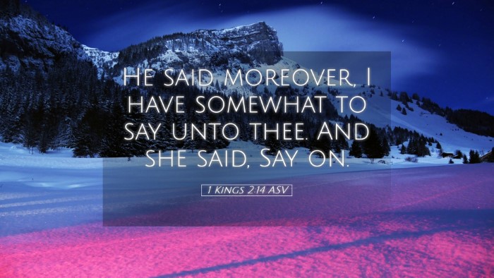 Picture 05 - 1 Kings 2:14 ASV Desktop Wallpaper - He said moreover, I have somewhat to say unto - Desktop Bible Verse Wallpaper
