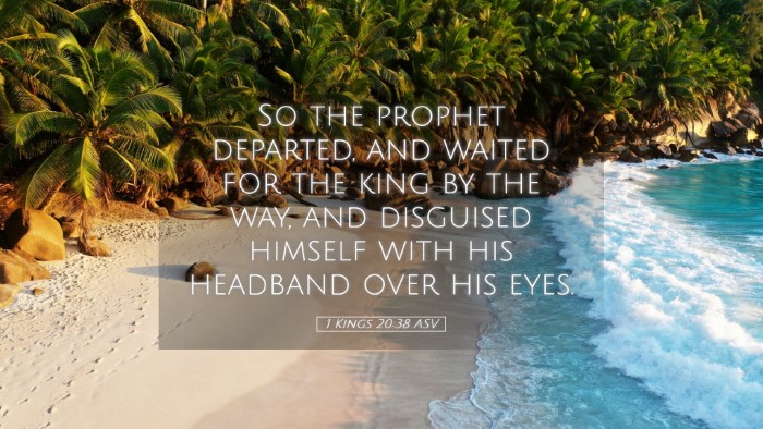 Picture 05 - 1 Kings 20:38 ASV Desktop Wallpaper - So the prophet departed, and waited for the king - Desktop Bible Verse Wallpaper