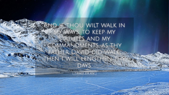 Picture 05 - 1 Kings 3:14 ASV Desktop Wallpaper - And if thou wilt walk in my ways, to keep my - Desktop Bible Verse Wallpaper