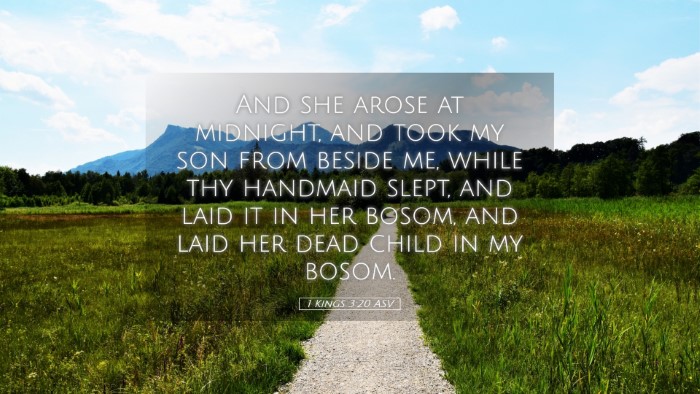Picture 05 - 1 Kings 3:20 ASV Desktop Wallpaper - And she arose at midnight, and took my son from - Desktop Bible Verse Wallpaper